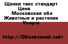 Щенки такс стандарт › Цена ­ 5 000 - Московская обл. Животные и растения » Услуги   